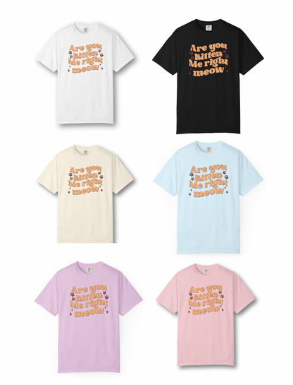 Are You Kitten Me Right Now Shirt
